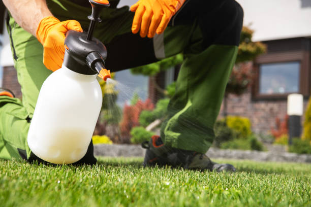 Professional Pest Control in Reiffton, PA